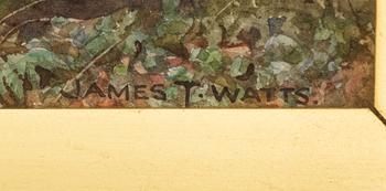 James Thomas Watts, landskap.