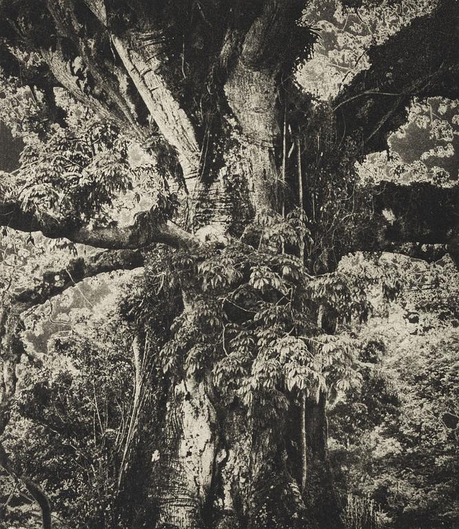 Lennart Olson, "Mitla, Mexico", 1966.
