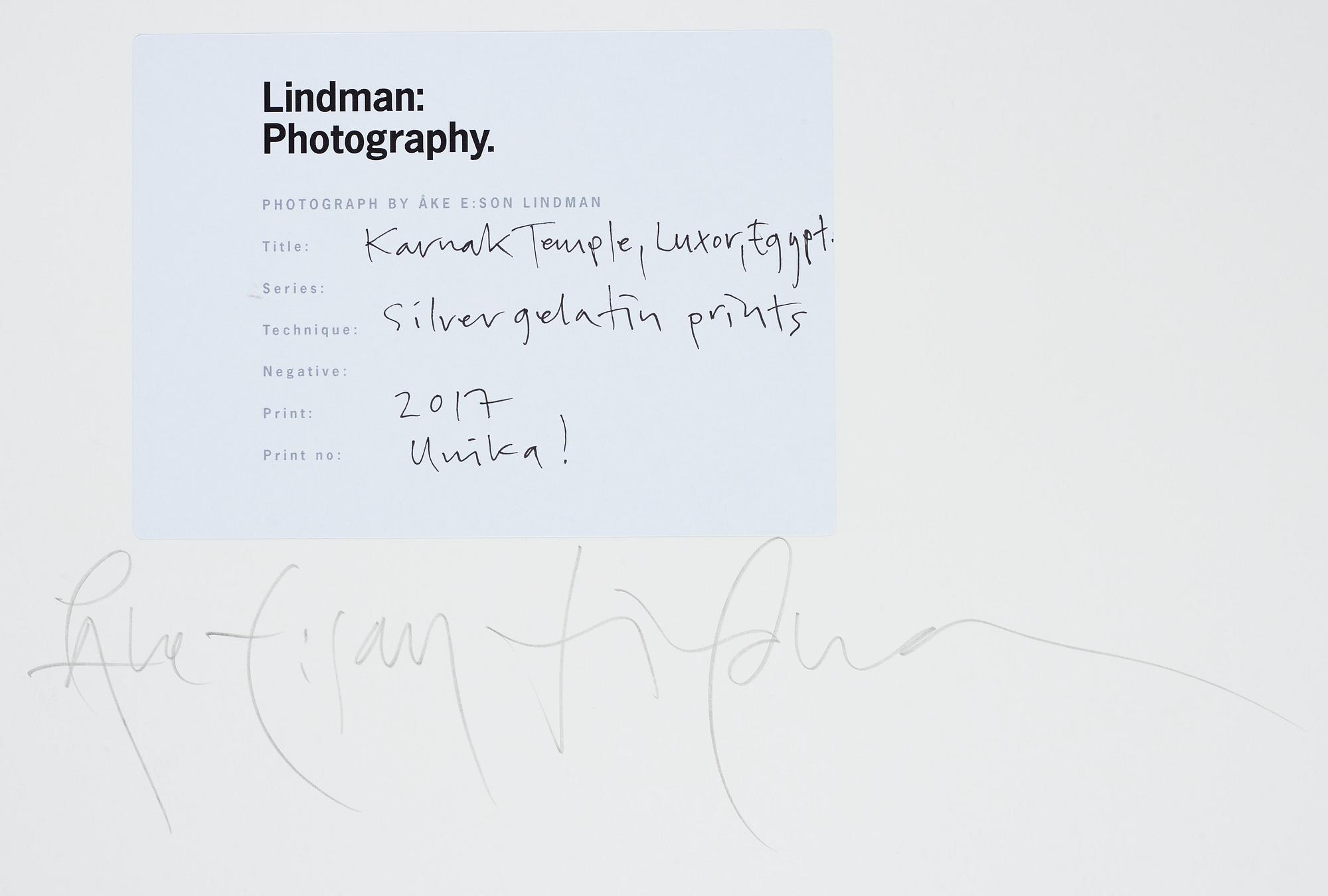 Åke E:son Lindman, Diptyche photograph unique signed on verso.