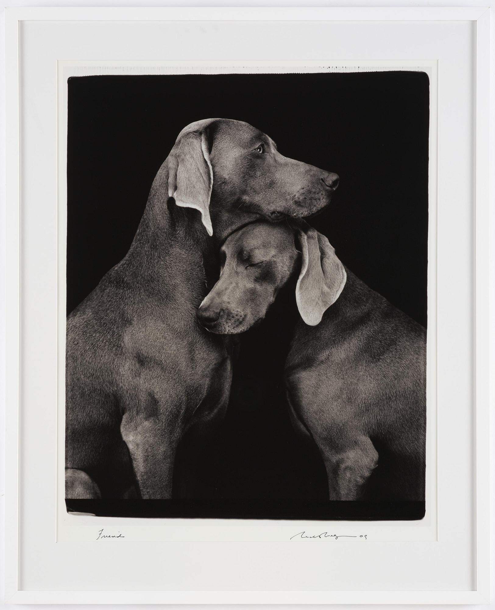 William Wegman, "Friends".