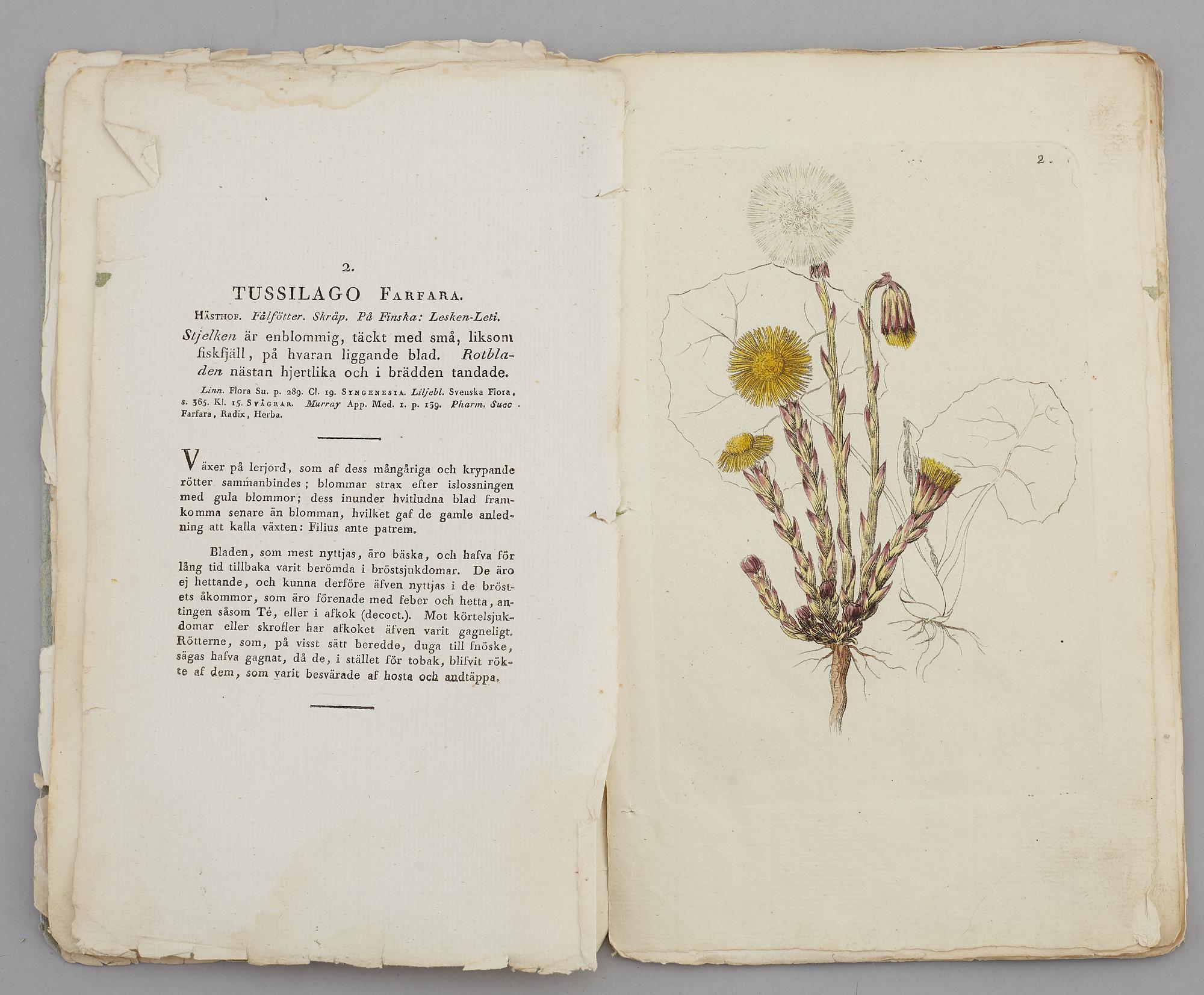 JOHAN WILHELM PALMSTRUCH, "Svensk Botanik, vol I-V. 1803-1805.