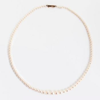 Collier, odlade pärlor, doserat, lås i 14K guld.