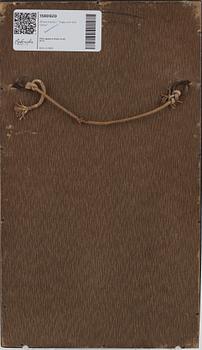 Ohara Koson, "Rooser and two hens".