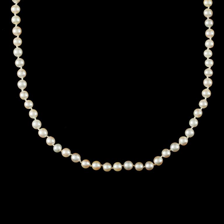 COLLIER, odlade saltvattenspärlor med kullås i sterlingsilver.