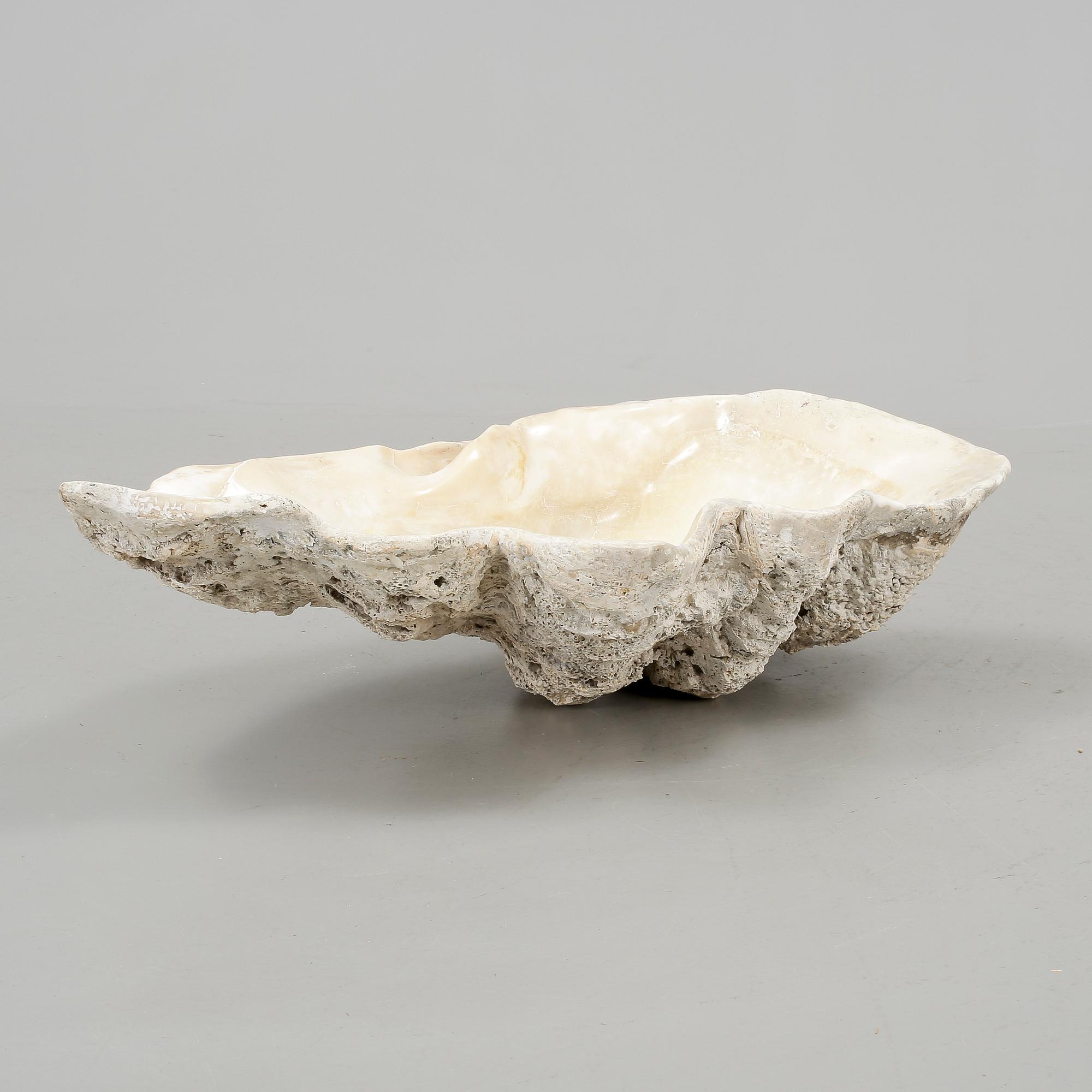 MUSSLA, fossil.
