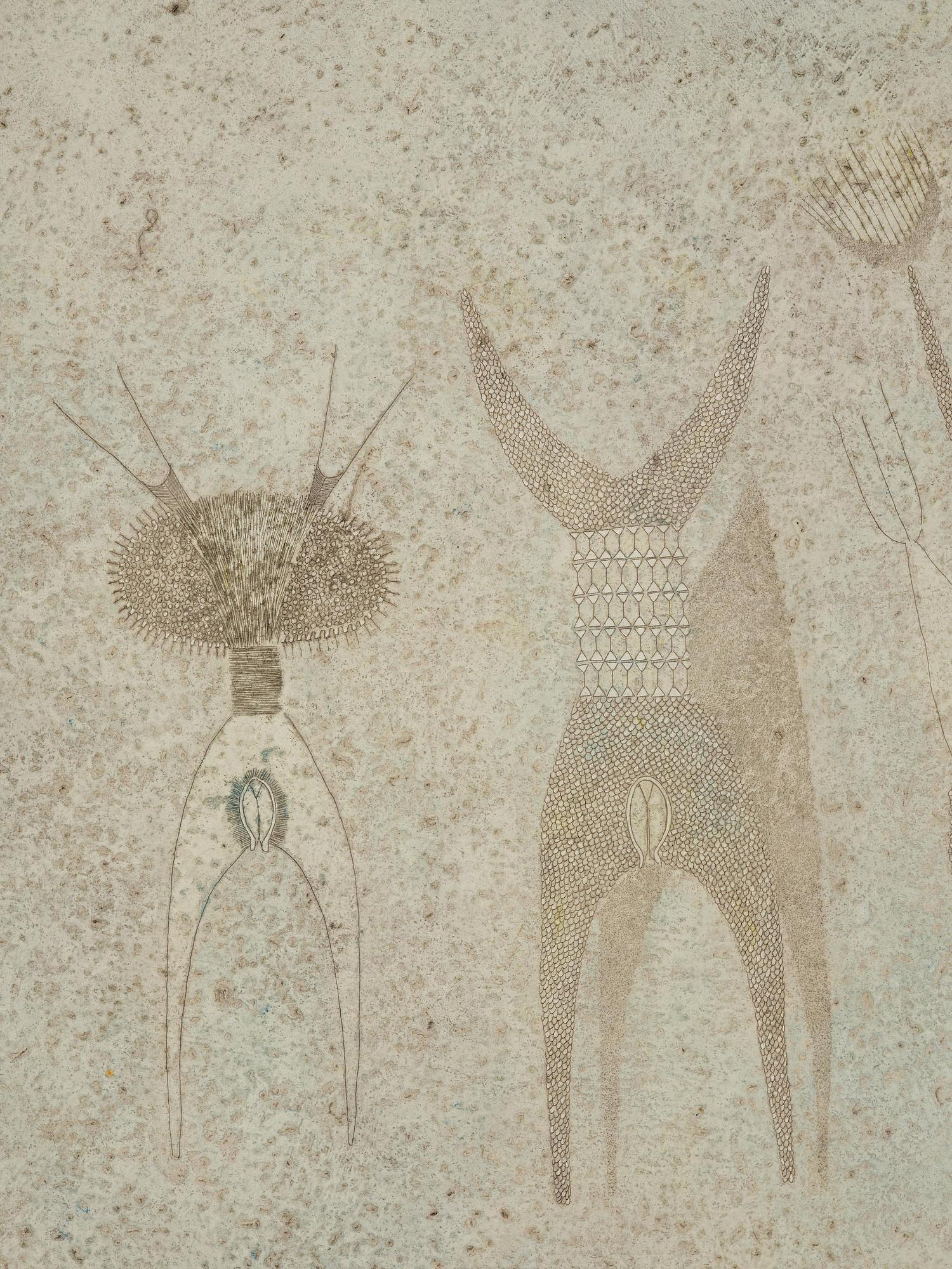 Thea Ekström, Untitled.