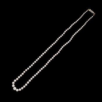 COLLIER, odlade saltvattenspärlor, lås i 18 k guld/silver.