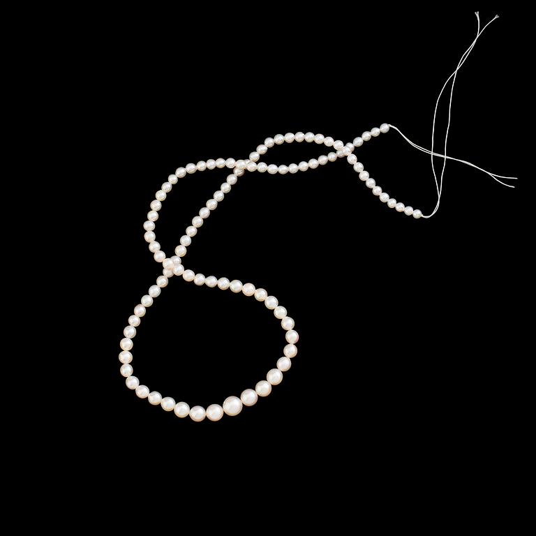 PÄRLCOLLIER, odlade pärlor.