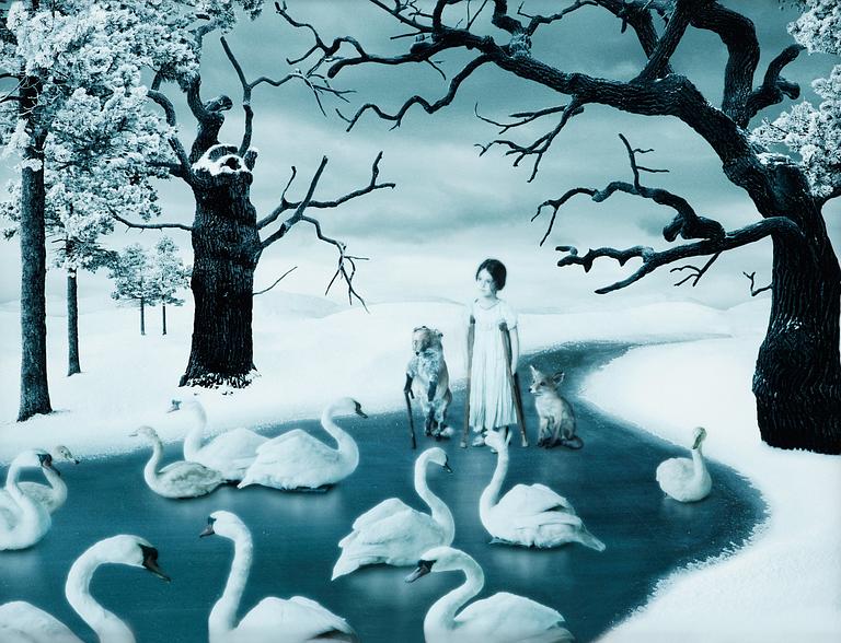 Helena Blomqvist, "Among Swans", 2011.