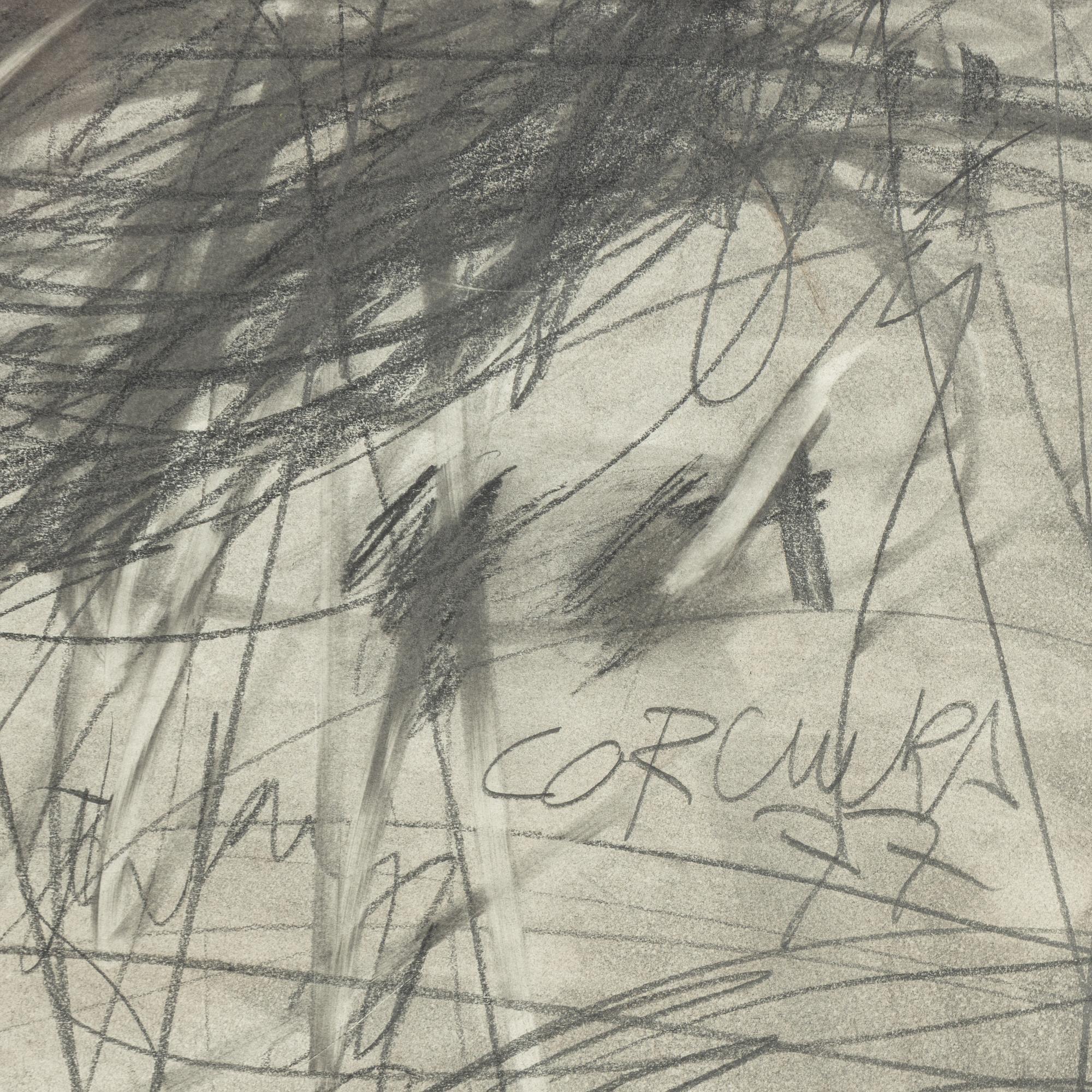 Francisco Corcuera, untitled.