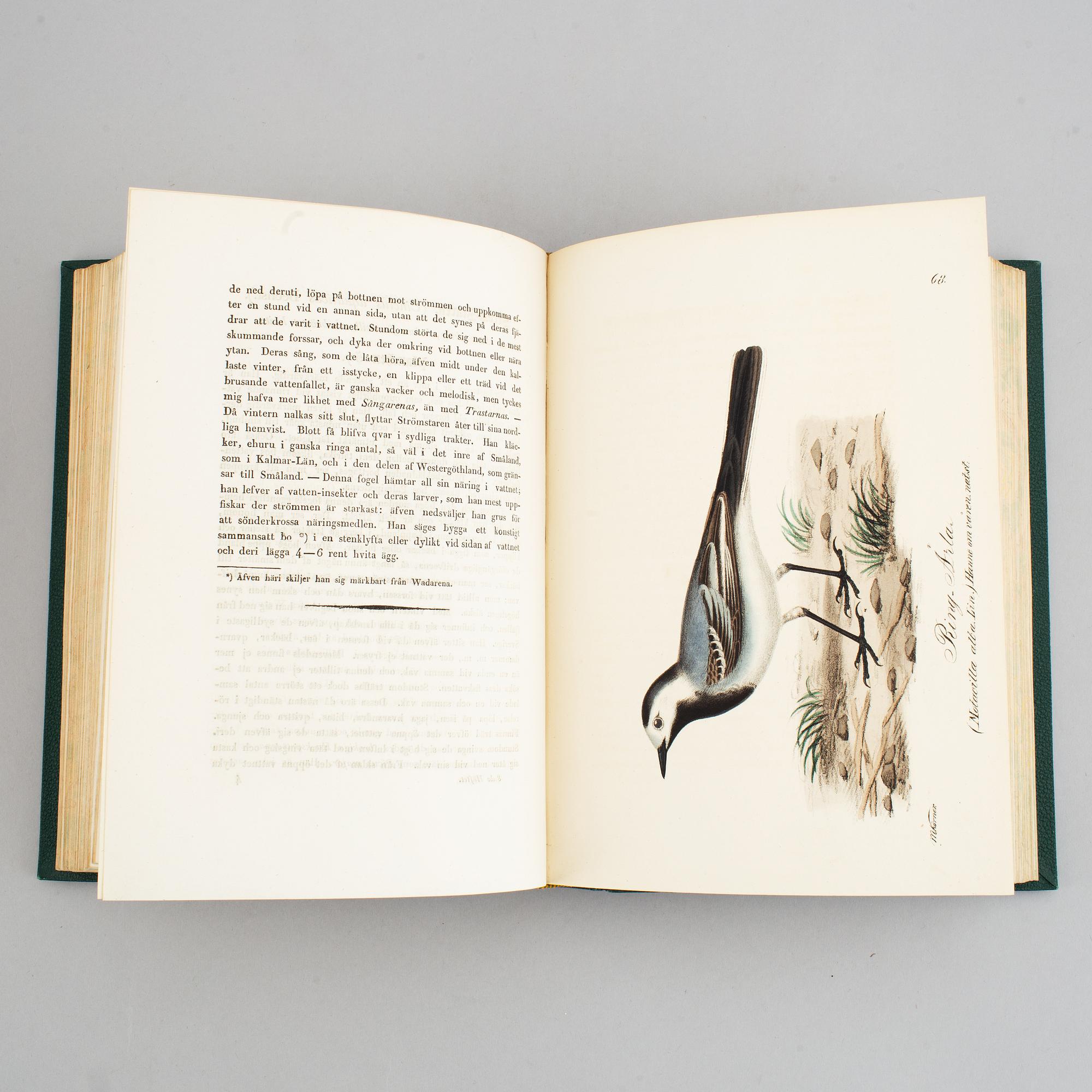 Med 200 litograferade zoologiska planscher, 1832-40, (2 vol).