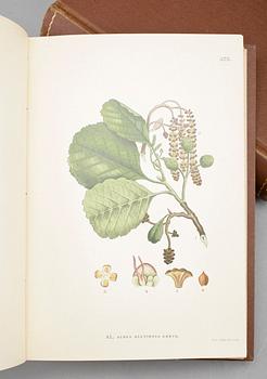 BÖCKER, 3 volymer C.A.M Lindman. "Bilder ur Nordens Flora". C. A. M. Lindman, Wahlström & Widstrand, 1922-26, Stockholm.