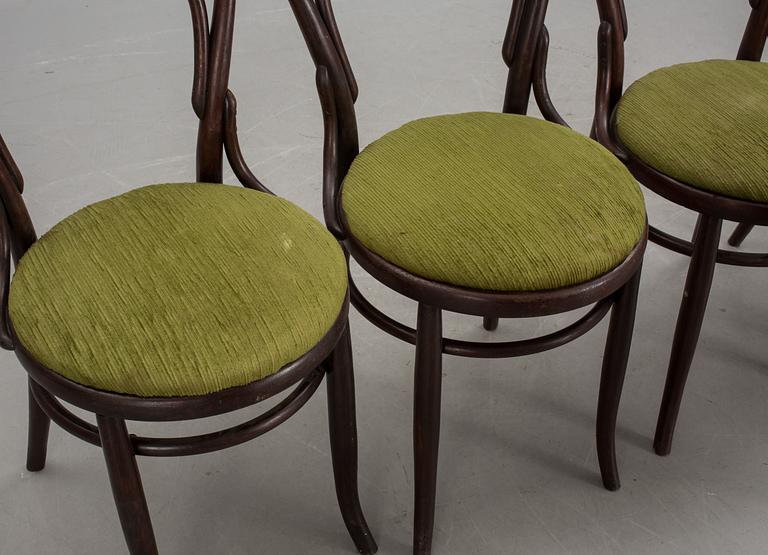 STOLAR, 6 st, stämpelmärkta Thonet.