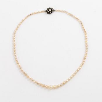 Collier odlade pärlor lås silver med paste.