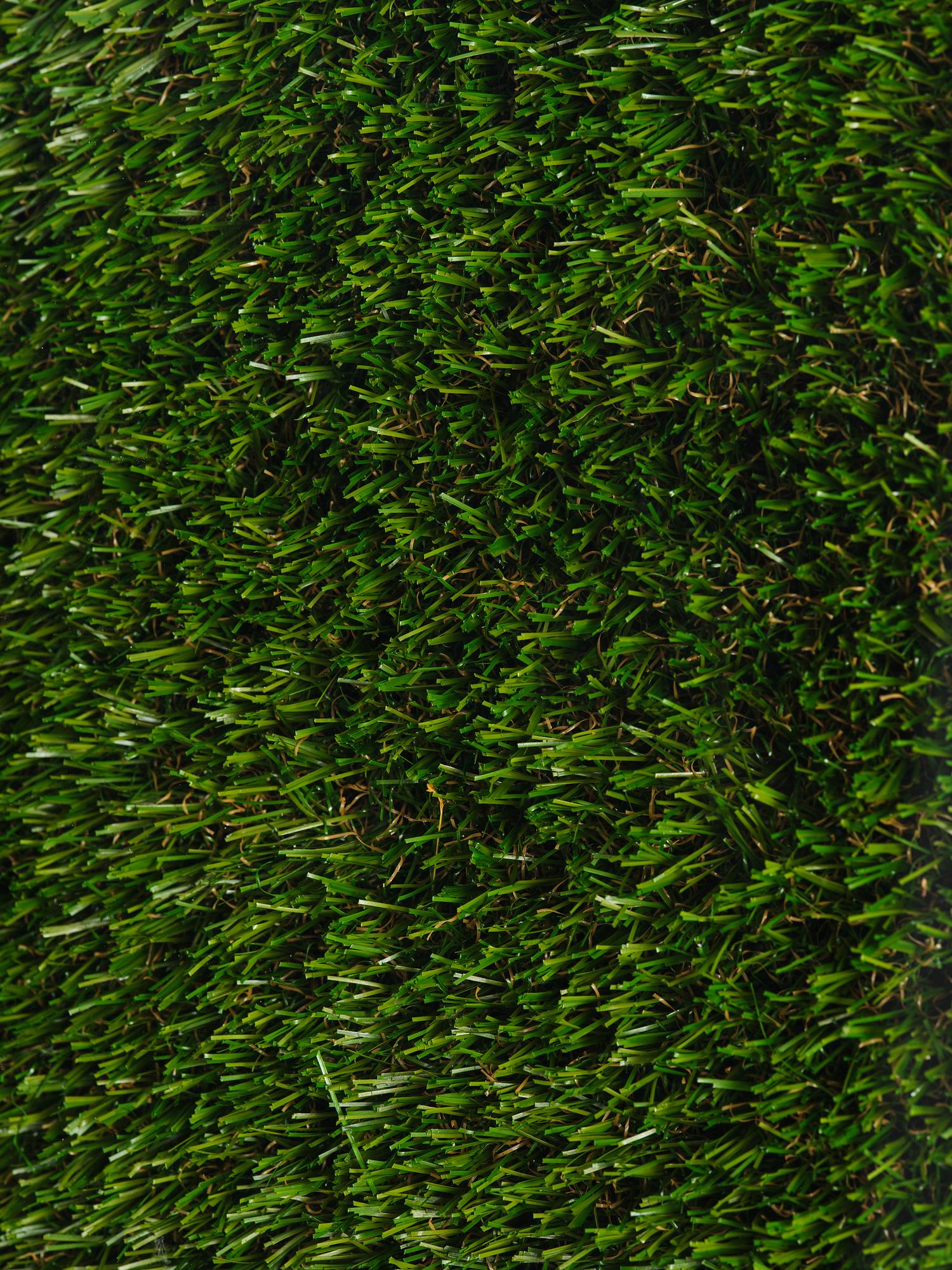 Yves Scherer, "Fructis Hardcore (1)".