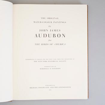 A BOOK, Audubons klassiska fågelbilder, James Audubon.