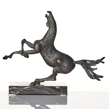 Sergio Capellini, stegrande häst.