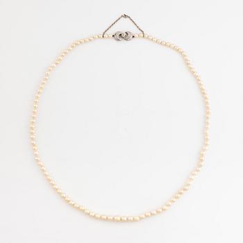 A cultured pearl necklace witk an 18K gold clasp set with eight-cut diamonds.