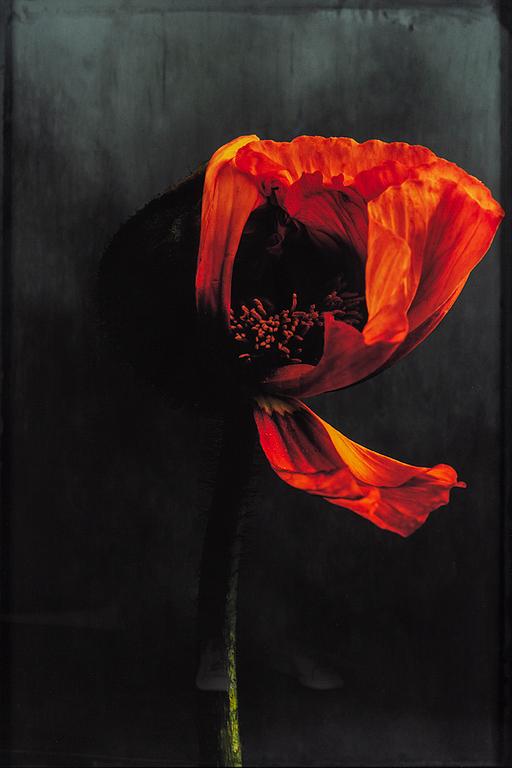 EWA-MARIE RUNDQUIST, Archival pigment print.