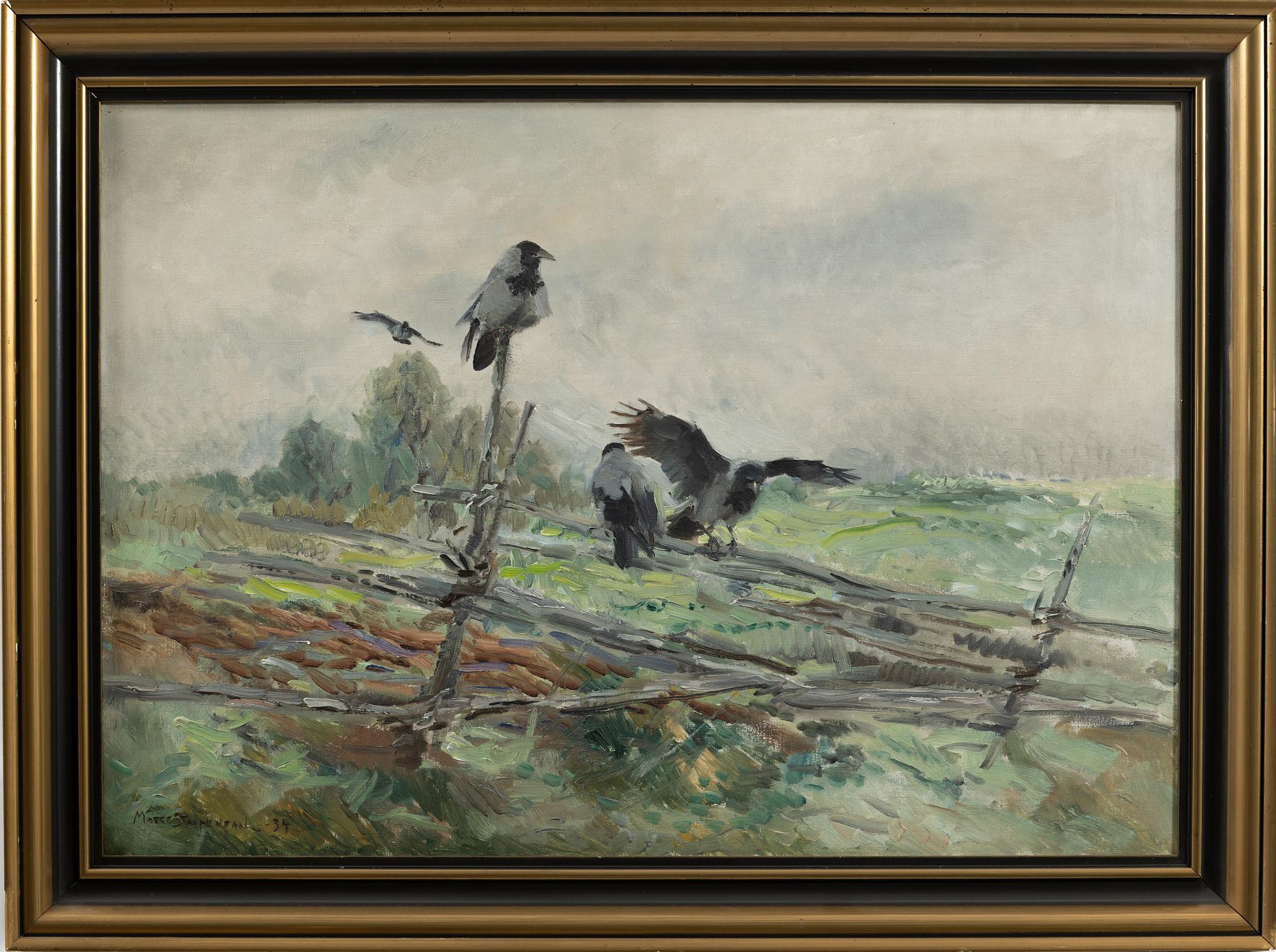 Mosse Stoopendaal, Crows.