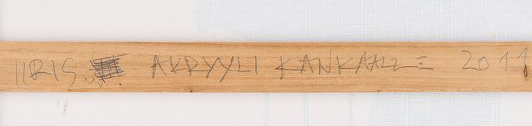 Tapani Mikkonen, Iiris.