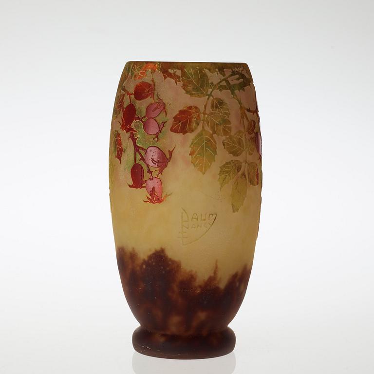 A Daum Art Nouveau cameo glass vase with rose-hips and leavage in autumn colours, Nancy, France.