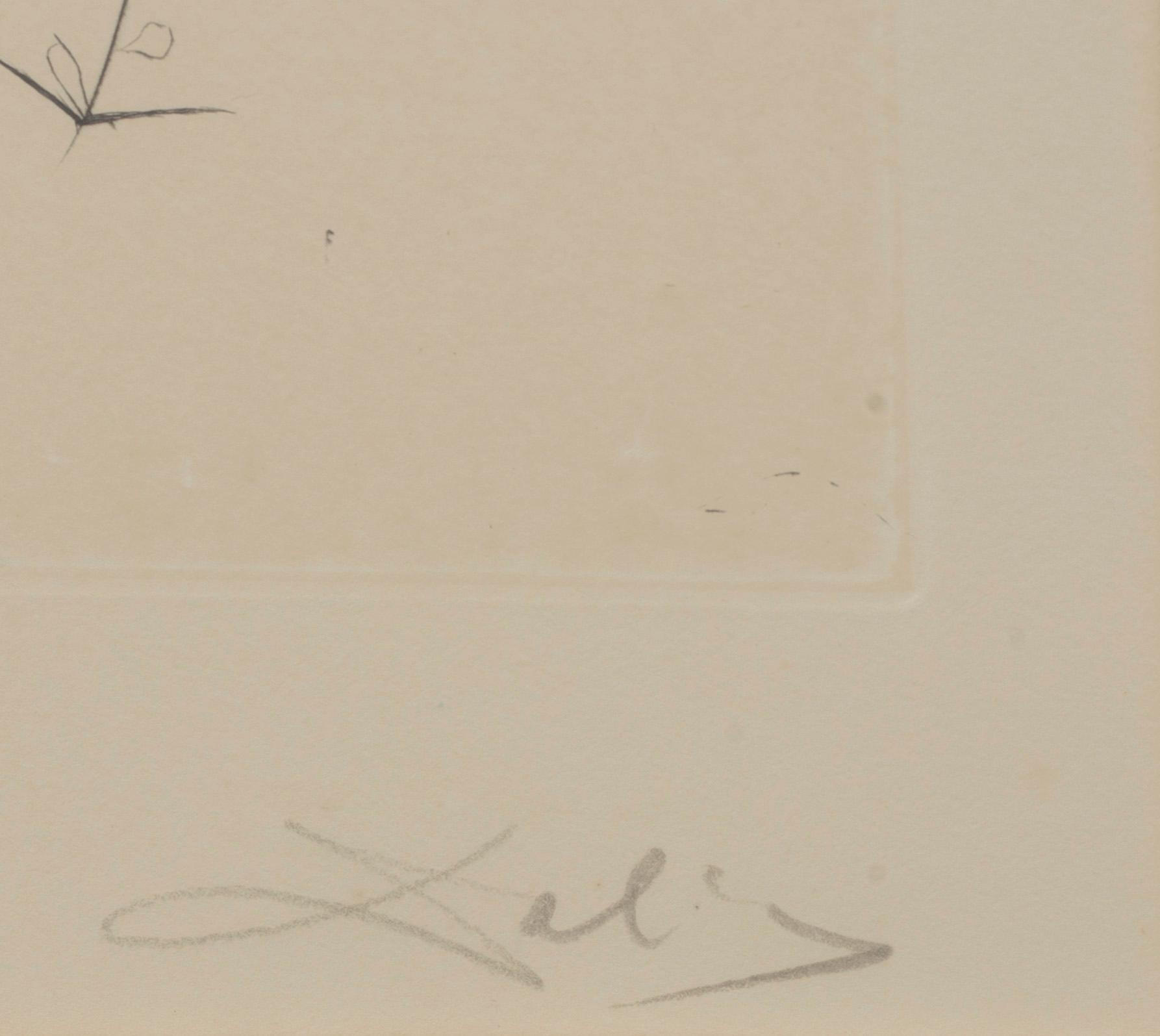 SALVADOR DALÍ,