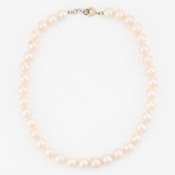 Necklace with cultured pearls.