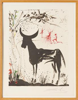 Salvador Dalí, "Awaiting the Fray", Ur Carmen.