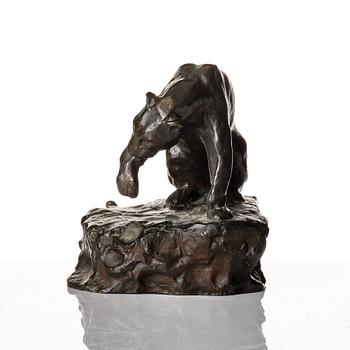 Carl Fagerberg, Puma.