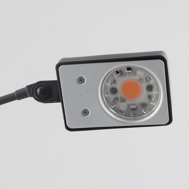 Tommaso Cimini, a 'Daphine' desk top lamp, Lumina.