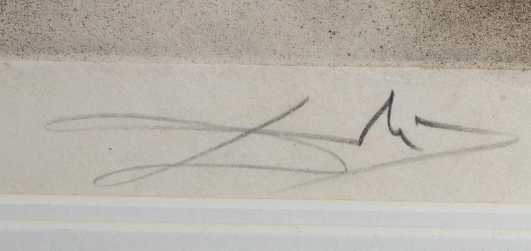 SALVADOR DALI, etsning, ur "Faust", signerad och numrerad 53/95.