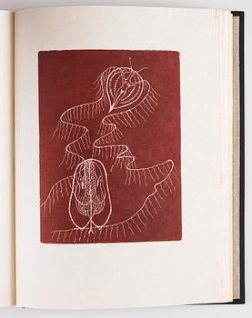 PORTFÖLJ, "Paroles Peintes I+II" (41).