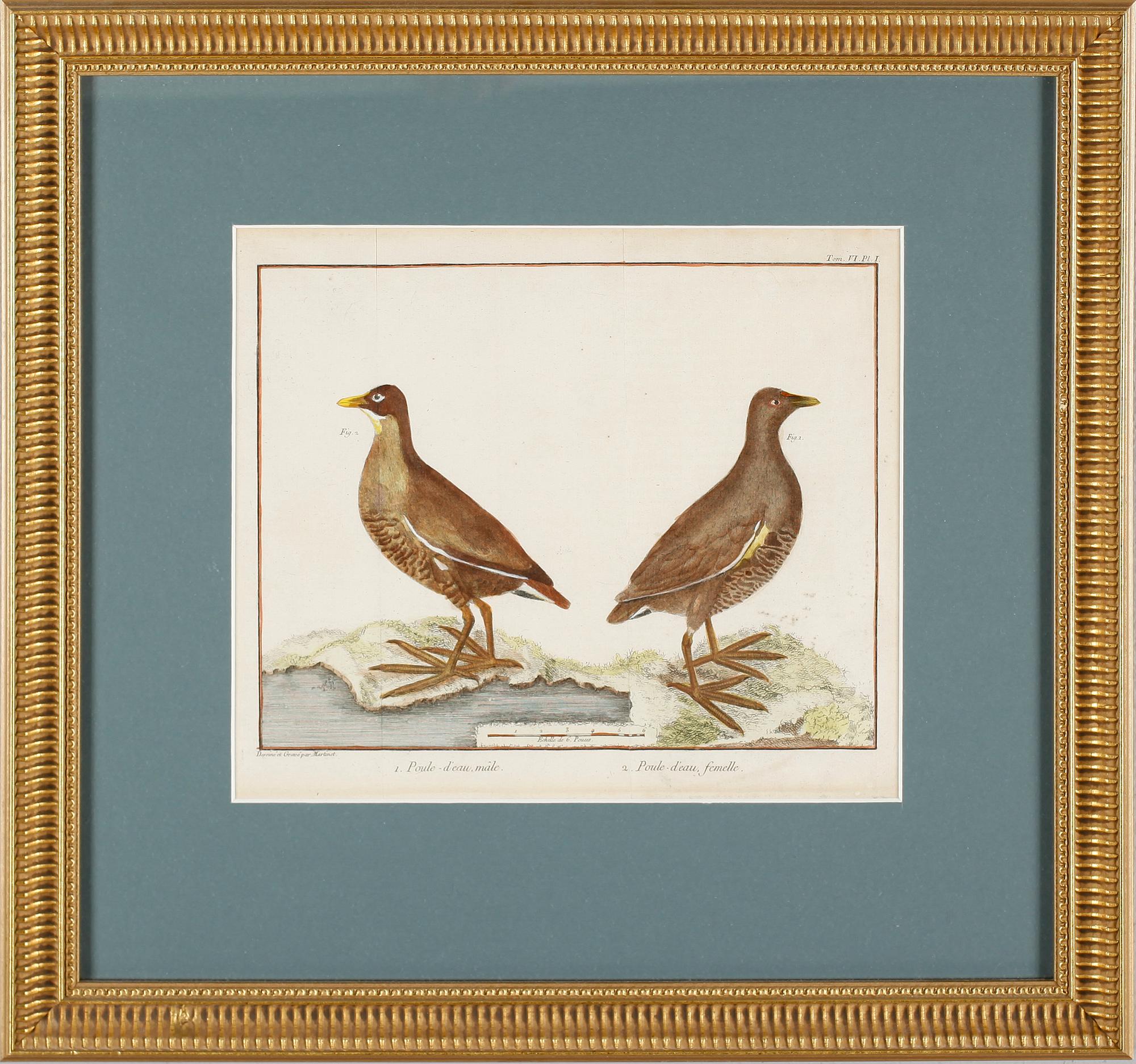 TAVLOR, 4 st, efter Martinet, gravyrer, kolorerade, 1700-/1800-tal.