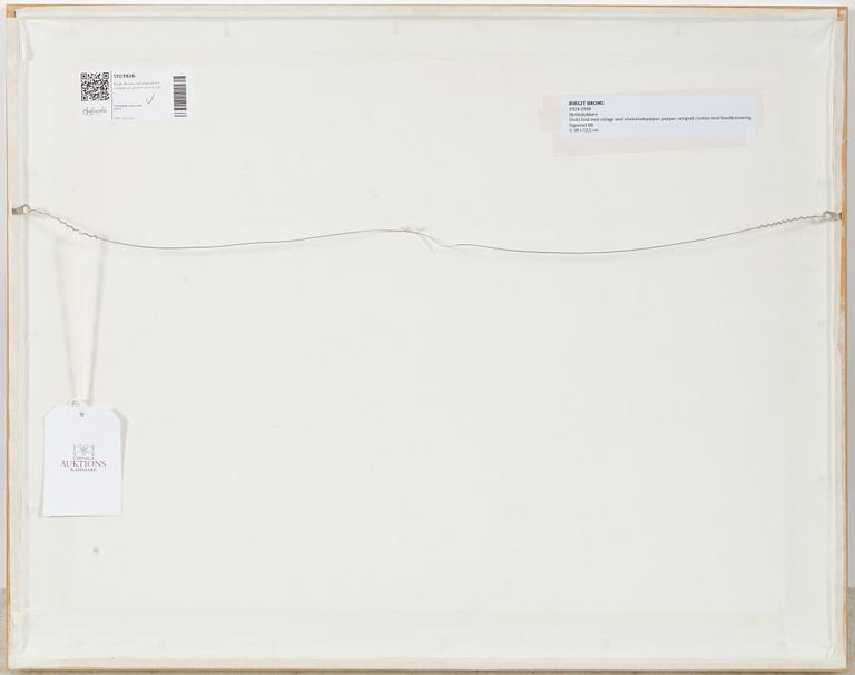 Birgit Broms, Skaters.