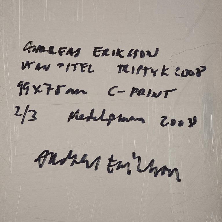 Andreas Eriksson, Untitled.