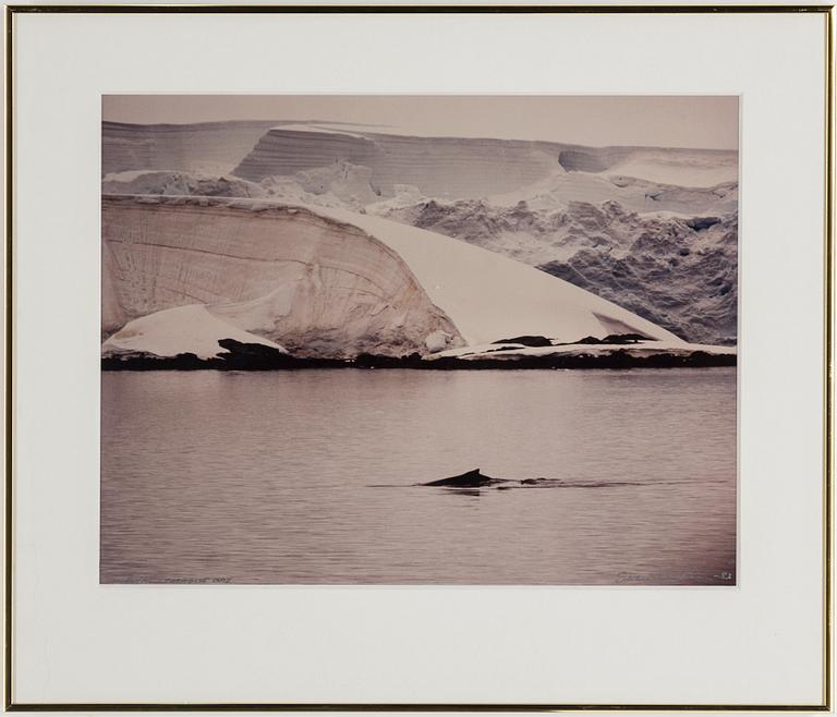 SVEN GILLSÄTER, fotografier, tre stycken. Signerade och daterade.