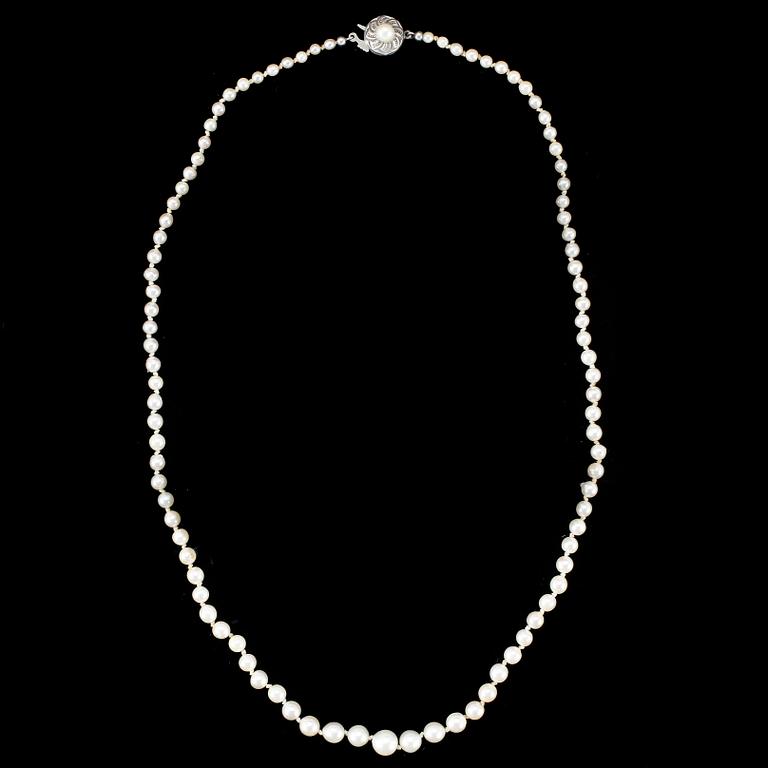 PÄRLCOLLIER, odlade sötvattenspärlor, lås i silver.