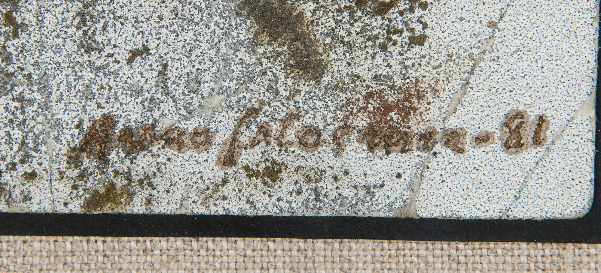 Aarno Salosmaa, Sommitelma.