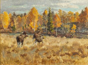 Harald Wiberg, Moose in autumn landscape.
