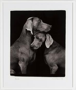 WILLIAM WEGMAN, a signed photograph, dated -09.