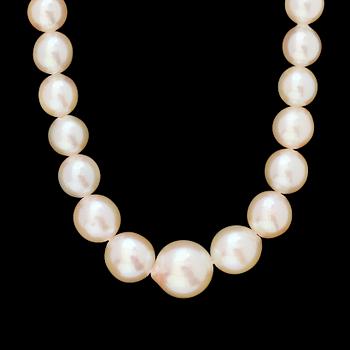 PÄRLCOLLIER, odlade pärlor.