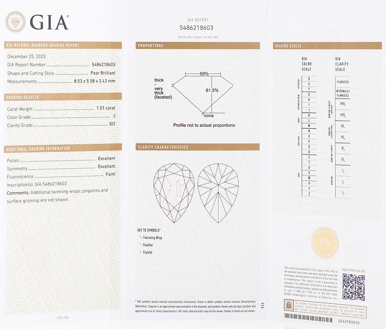 Örhängen, enstensörhängen, 18K vitguld med droppslipade diamanter.