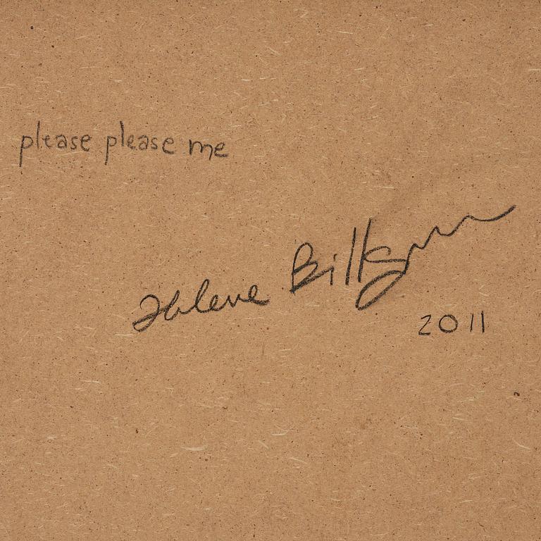 Helene Billgren, "Please please me".