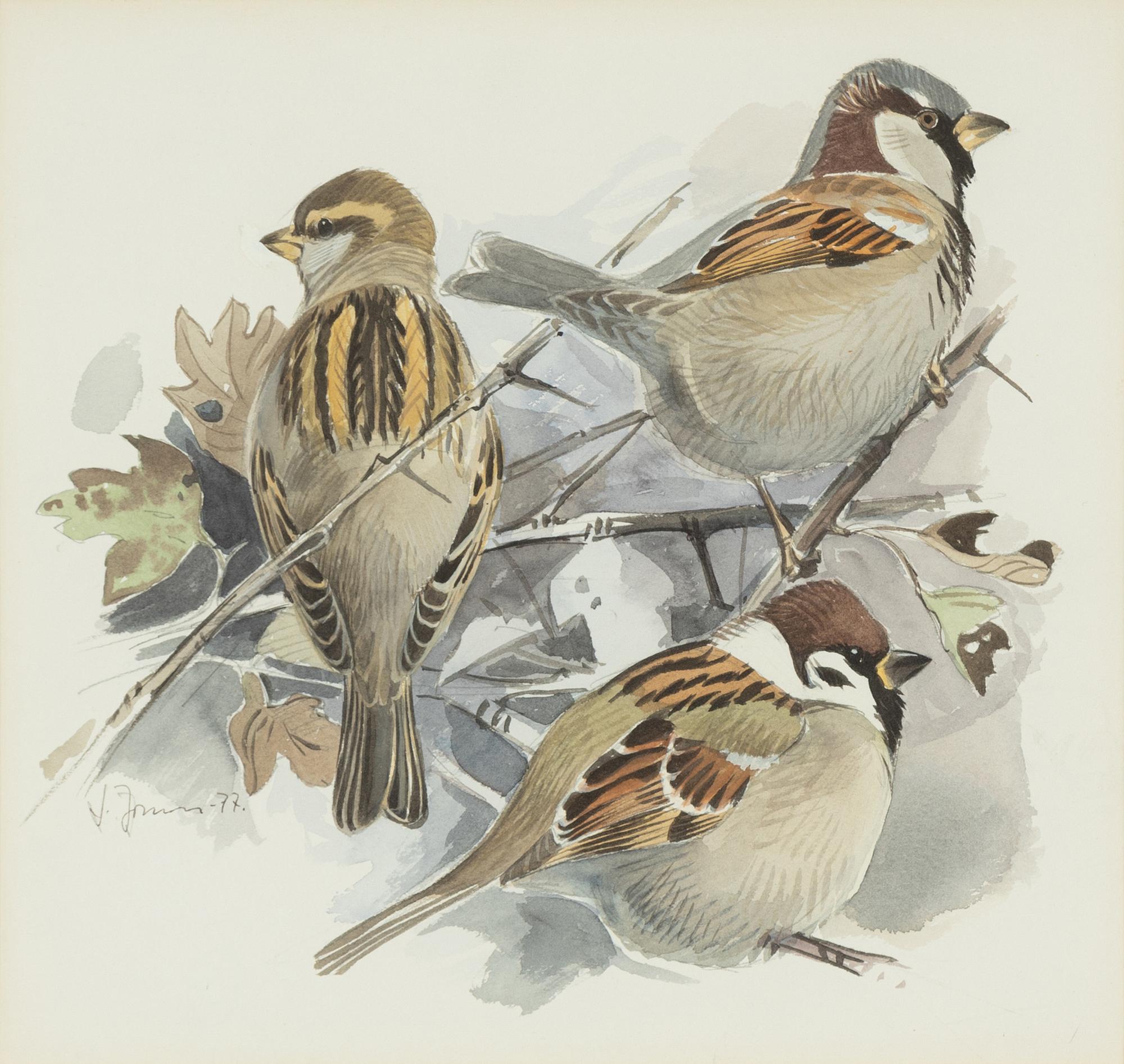 Lars Jonsson, akvarell, signerad och daterad 77.