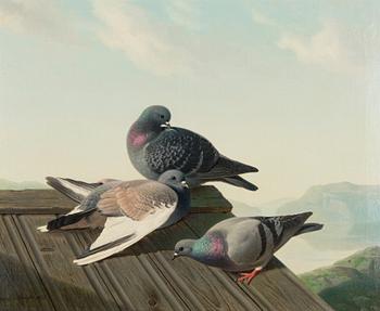 Ferdinand von Wright, Pigeons on a roof.