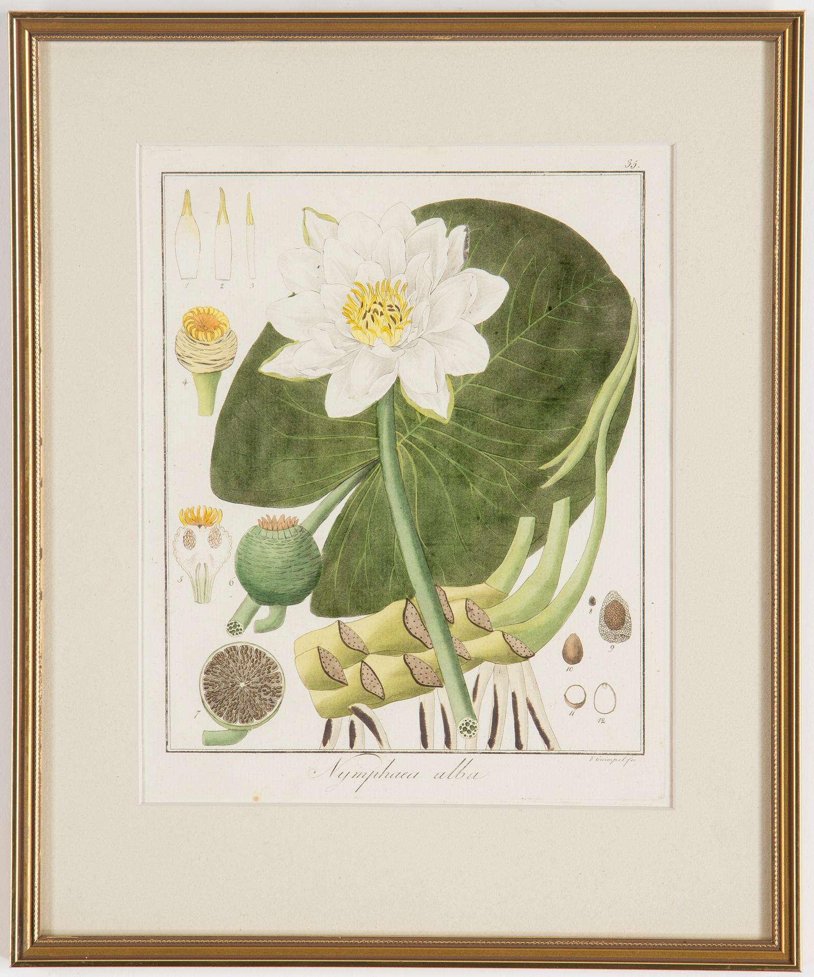 Four 18th century hand coloured engravings.