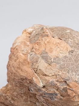 DINOSAURIEÄGG, fossil, enligt intyg omkring 65 milj år gamla.