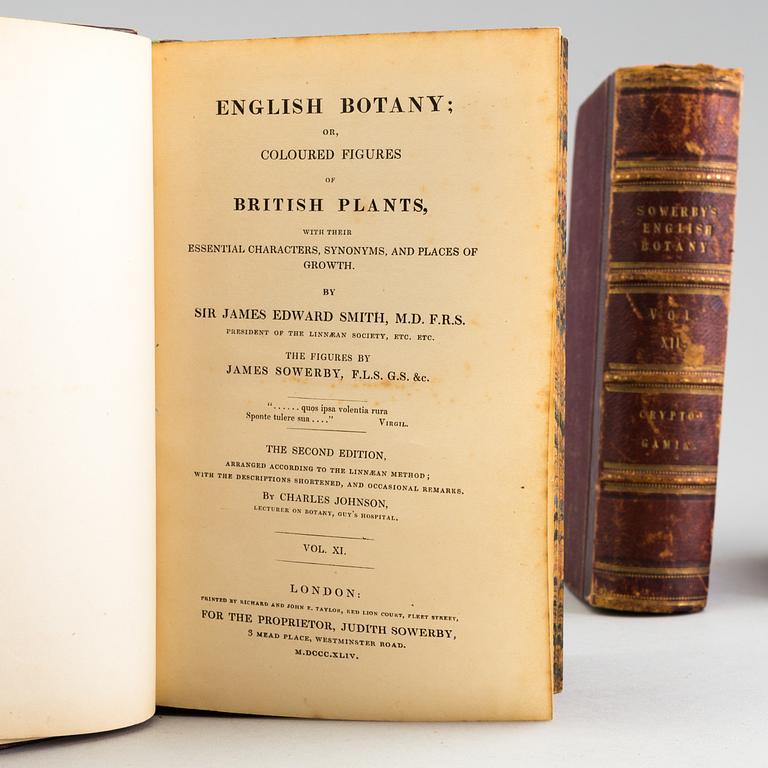 BOOKS, 12 volumes, 'English Botany' by Sir James Edward Smith, James Sowerby, London, 1832-46.