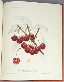 BOK, "Svenska Fruktsorter", Axel Phil och Jakob Eriksson, PA Norstedt & Söners Förlag Stockholm 1924.